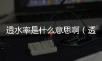 透水率是什么意思啊（透水率）