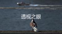 透視之眼