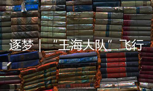 逐夢|“王海大隊”飛行員在捍衛領空的生死時刻
