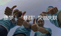 逐夢｜“蜂群”突然失聯還能自主找到敵人 這是什么操作？