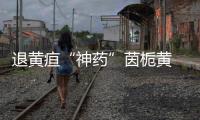 退黃疸“神藥”茵梔黃 究竟還能不能用