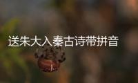 送朱大入秦古詩帶拼音  送朱大入秦的意思