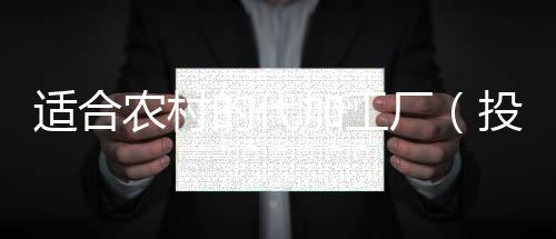適合農村的代加工廠（投資10萬以內適合在農村干的加工廠）