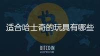 適合哈士奇的玩具有哪些(哈士奇適合什么玩具)
