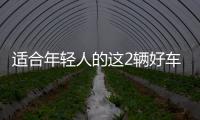 適合年輕人的這2輛好車 開出去倍有面子！