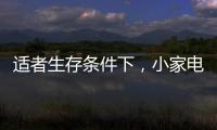 適者生存條件下，小家電品牌從細(xì)節(jié)入手控成本