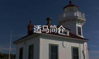 適馬簡介