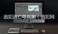 逃犯逃亡電視?。ㄌ臃妇W）