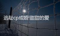 逃恥cp成婚!甜甜的愛不用逃避,美的初見智能套系直面生活細節
