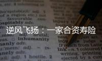 逆風飛揚：一家合資壽險公司穩中求進的破局之道