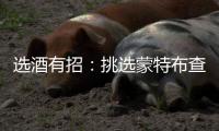 選酒有招：挑選蒙特布查諾葡萄酒的注意事項