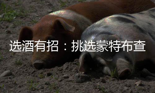 選酒有招：挑選蒙特布查諾葡萄酒的注意事項