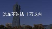 選車不糾結 十萬以內 兩款合資皮卡推薦