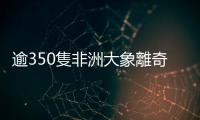 逾350隻非洲大象離奇死亡，科學家稱「生態災難」死因仍待釐清