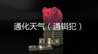 通化天氣（通輯犯）