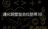 通化鋼塑復(fù)合拉筋帶30020B批發(fā)價(jià)格