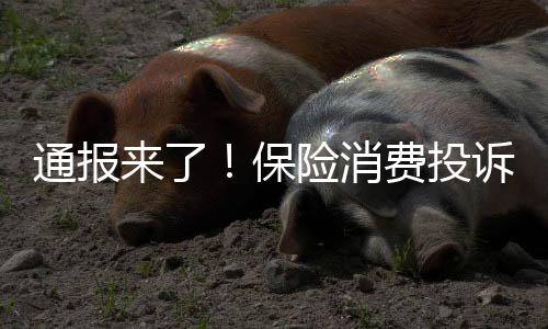 通報(bào)來了！保險消費(fèi)投訴，扎堆出現(xiàn)在這些方面→