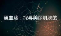 通血藤：探尋美麗肌膚的秘密！