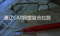 通遼CAT鋼塑復(fù)合拉筋帶廠家電話