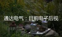 通達電氣：目前電子后視鏡業務規模不大，利潤貢獻較小