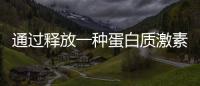 通過釋放一種蛋白質(zhì)激素 運(yùn)動(dòng)有助防止阿爾茨海默病記憶損失