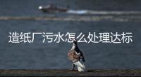 造紙廠污水怎么處理達標（造紙廠污水處理工藝圖）