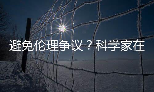 避免倫理爭議？科學家在子宮里矯正胚胎致命基因突變