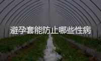 避孕套能防止哪些性病