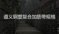 遵義鋼塑復合加筋帶規(guī)格齊全