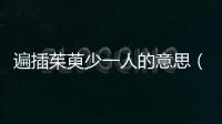 遍插茱萸少一人的意思（遍插茱萸少一人啥意思）
