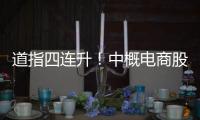 道指四連升！中概電商股、新能源汽車股表現亮眼