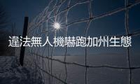 違法無人機嚇跑加州生態保護區3000隻燕鷗，留下2000顆再也無法孵化的鳥蛋