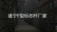 遂寧F型標志桿廠家