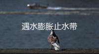 遇水膨脹止水帶