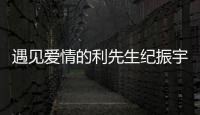 遇見愛情的利先生紀振宇結局