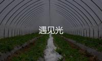 遇見光