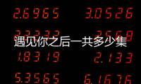 遇見你之后一共多少集