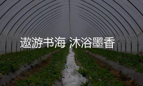 遨游書海 沐浴墨香