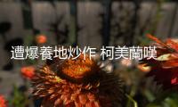 遭爆養地炒作 柯美蘭嘆：善意幫老農竟被對手攻擊