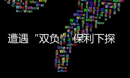 遭遇“雙負(fù)” 保利下探三四線城市