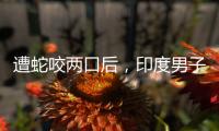 遭蛇咬兩口后，印度男子“反咬三口”將蛇咬死！