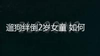 遛狗絆倒2歲女童 如何防寵物狗咬人？