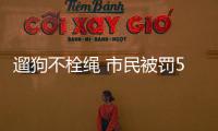 遛狗不栓繩 市民被罰5200元