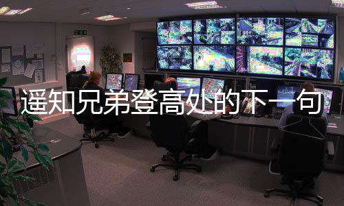 遙知兄弟登高處的下一句是啥（遙知兄弟登高處下句）