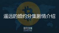 遙遠(yuǎn)的婚約分集劇情介紹