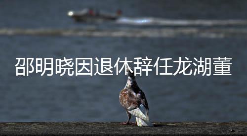邵明曉因退休辭任龍湖董事會副主席