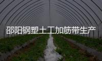 邵陽鋼塑土工加筋帶生產廠家