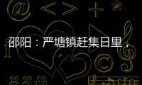 邵陽：嚴塘鎮趕集日里，一小偷當場被合力擒住！