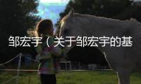 鄒宏宇（關于鄒宏宇的基本情況說明介紹）