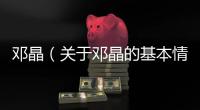 鄧晶（關于鄧晶的基本情況說明介紹）